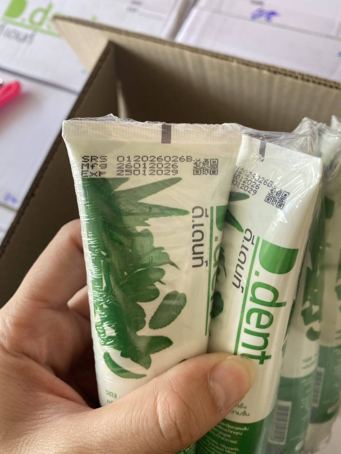 D.DENT HERBAL TOOTHPASTE 5 IN 1 PEPPERMINT  Herbal Toothpaste for Fresh Breath, Strong Teeth & Healthy Gums